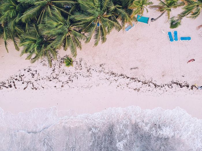 Aerial view of beach