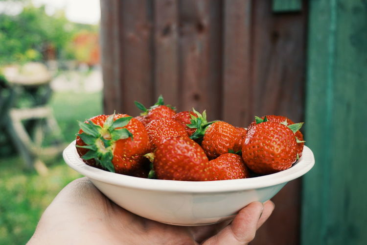 Cropped image of hand holding strawberries in bowl