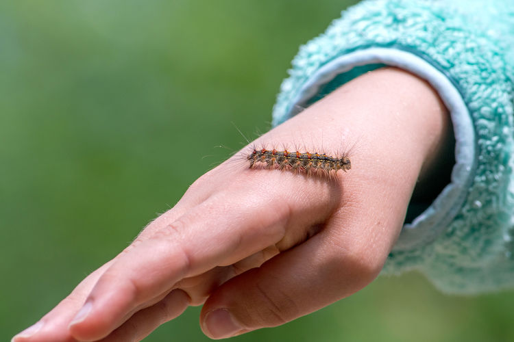 A child lets a caterpillar crawl over her hand, as she learns about this insect