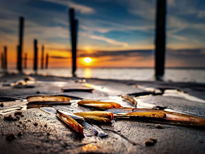 Close-up of wood on beach against sky during sunset
