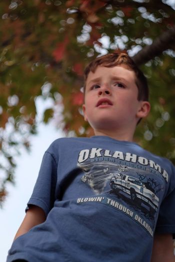 Close-up of boy against trees