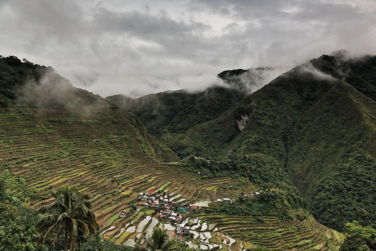 0178 the batad village cluster of the rice terraces of the philippine cordilleras. banaue-luzon-ph.