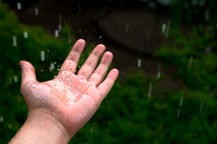 Close-up of person hand with raindrops on leaf