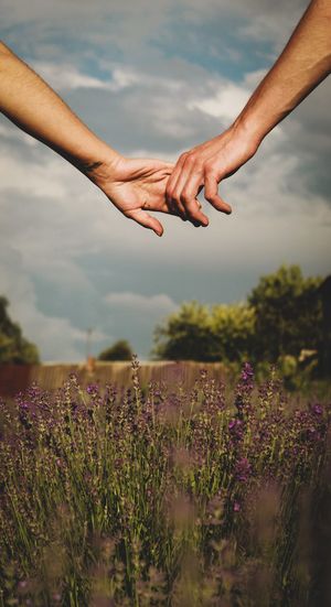 Cropped image of hand on purple flowering plant against sky