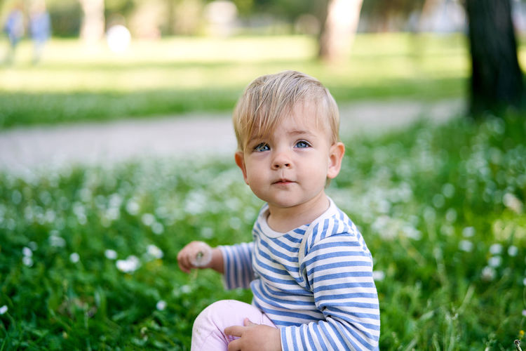 Portrait of cute boy in field
