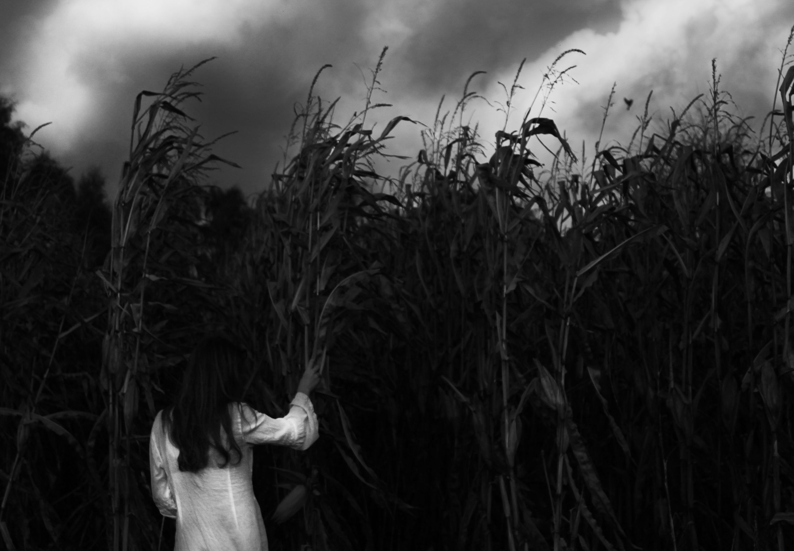 plant, darkness, black and white, nature, sky, land, monochrome photography, monochrome, cloud, field, one person, growth, landscape, crop, adult, cereal plant, rural scene, sunlight, agriculture, outdoors, black, grass, environment, beauty in nature, women