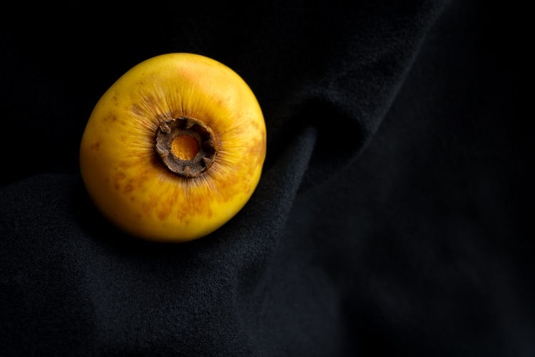 High angle view of fruits against black background