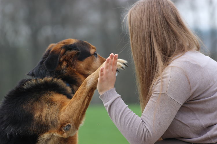 Close-up of young woman touching dog