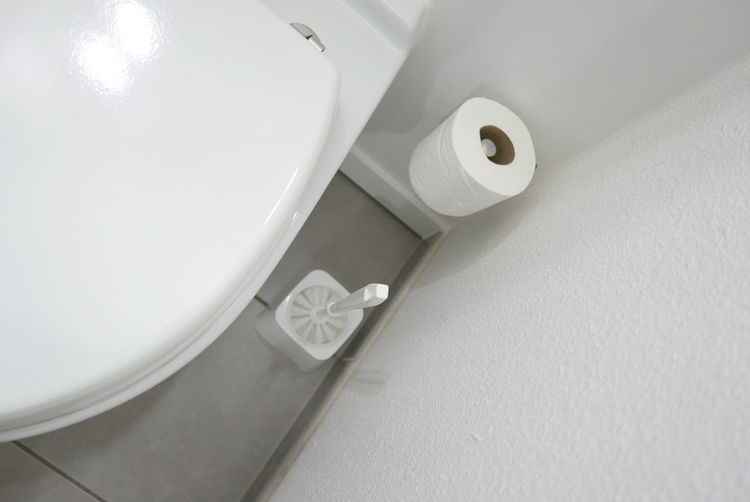 High angle view of brush and paper in toilet