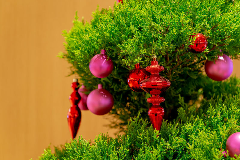 Close-up of christmas decorations