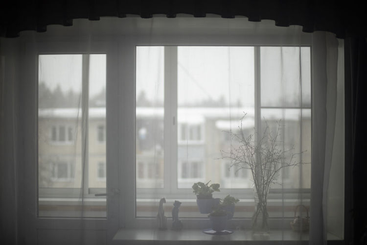 window