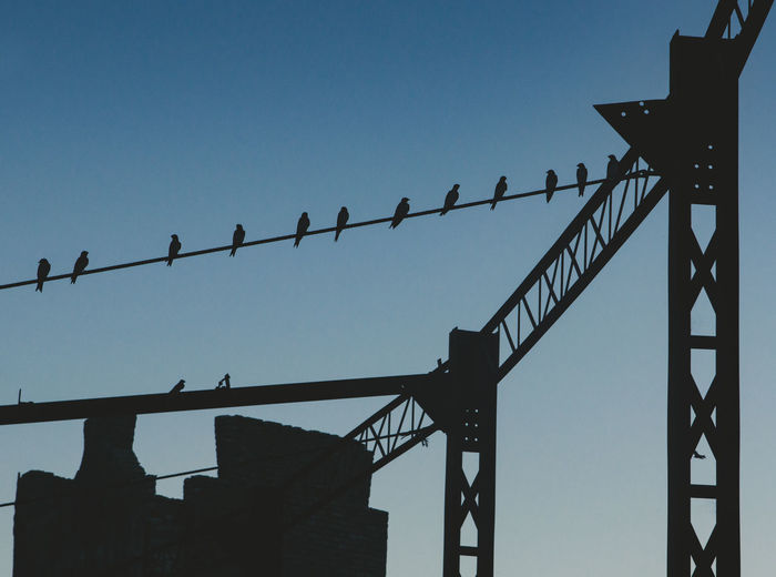 Low angle view of bridge with birds against clear sky