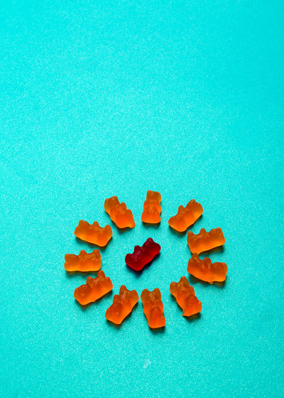 Directly above shot of pumpkin on blue background