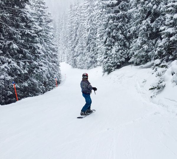 Rear view of person snowboarding in snow covered forest