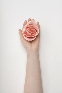 CLOSE-UP OF HUMAN HAND HOLDING ROSE