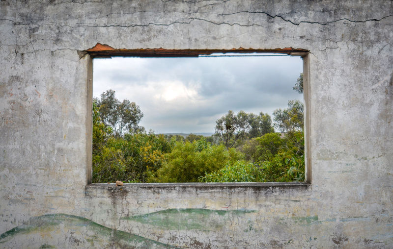 Landscape seen through window