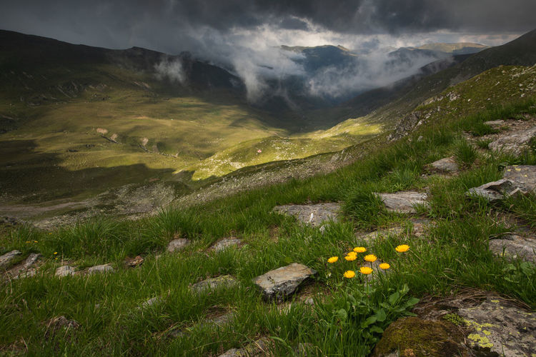 Alpine views from fagaras mountains, romania. summer carpathian landscapes.