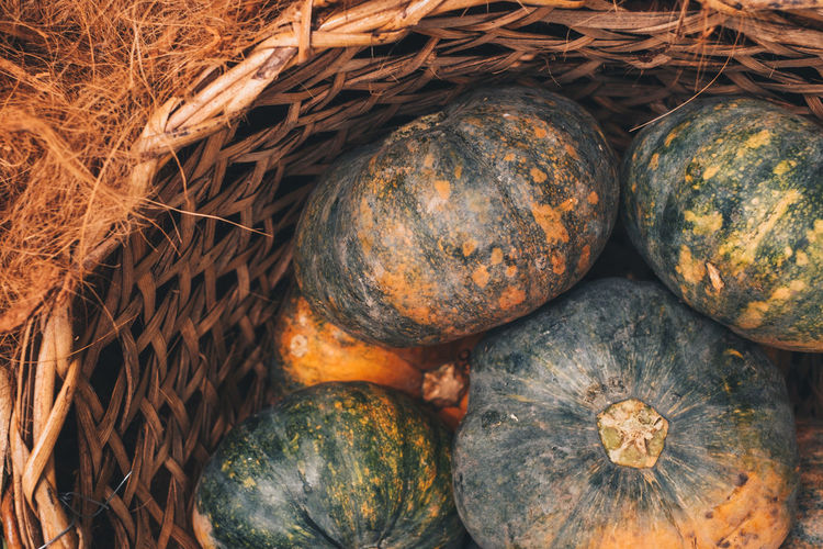 Freshly picked organic squashes/pumpkins in a rattan basket