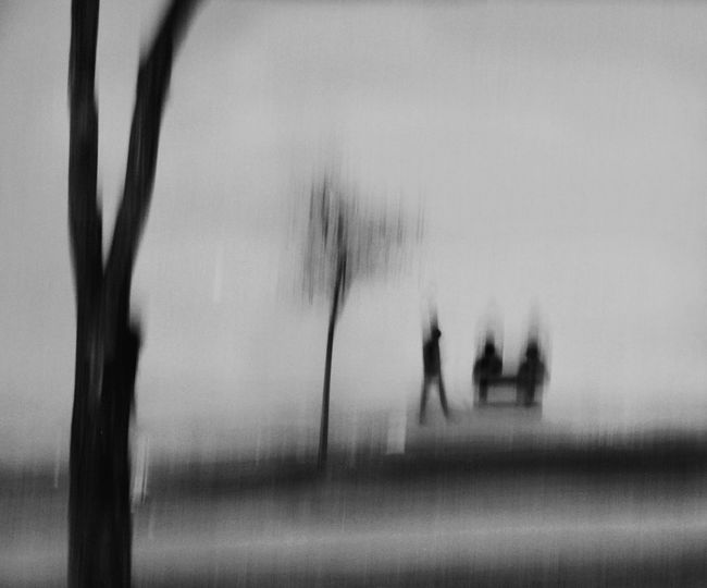 Silhouette people walking by trees against sky