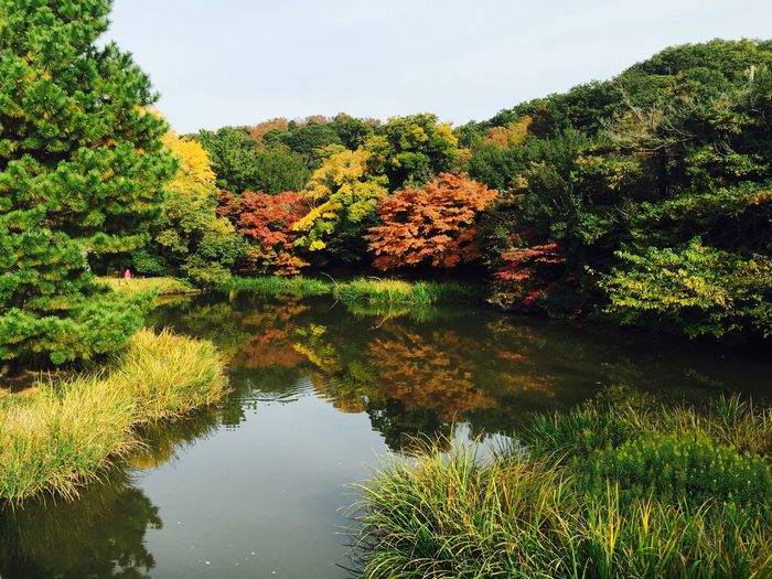 Reflection of trees in lake against sky during autumn