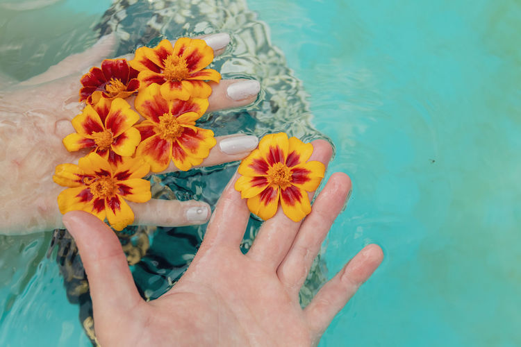 Cropped hand of man and woman holding flower in swimming pool