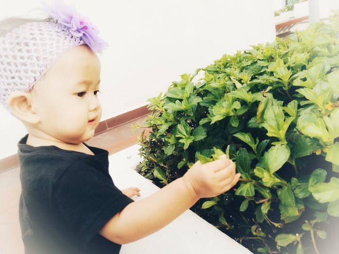 Close-up of cute baby girl in flower plant