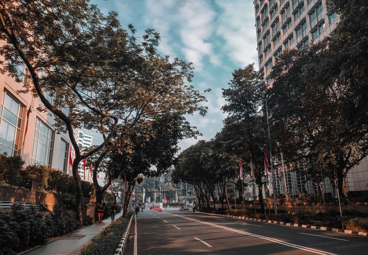 Road amidst trees and buildings in city