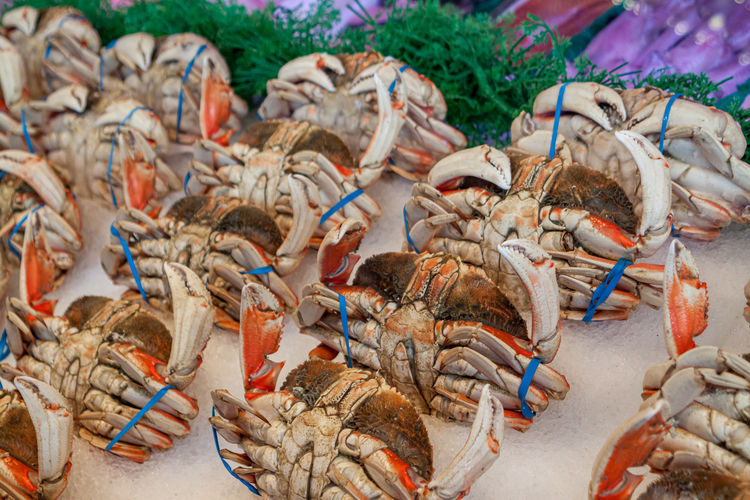 High angle view of crab for sale at market