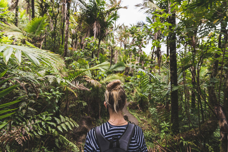 Rear view of woman standing against trees
