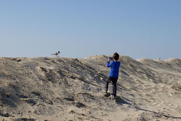 Rear view of boy standing on sand dune against sky