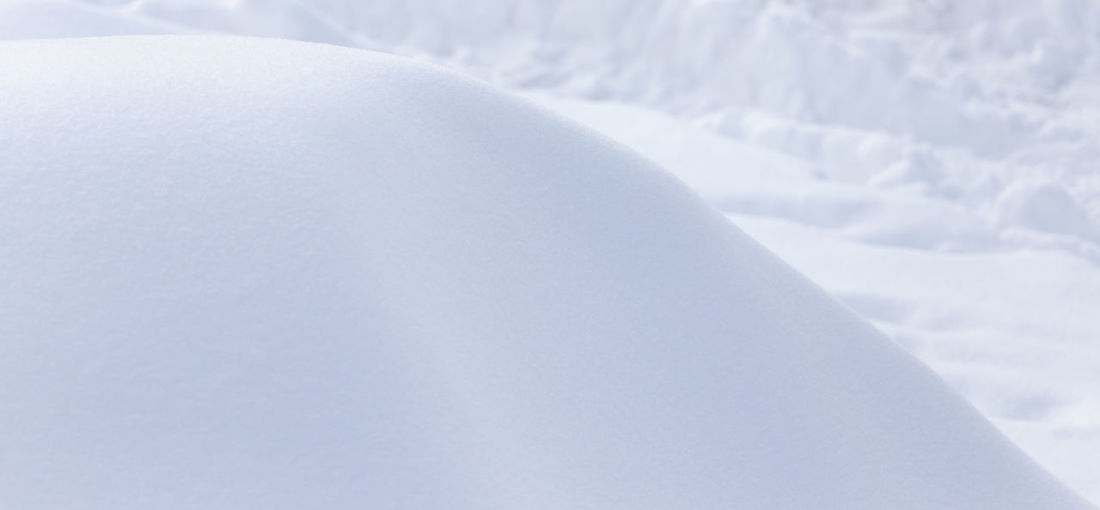 Close-up of snow covered bed