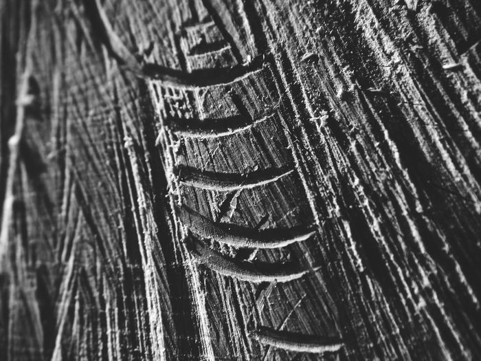 Full frame shot of wood