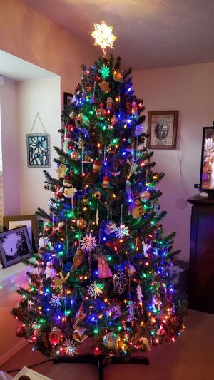 Illuminated christmas tree at home
