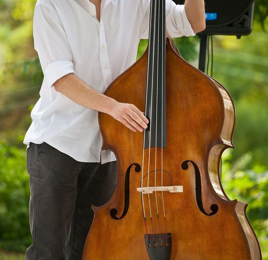 Midsection of musician playing cello