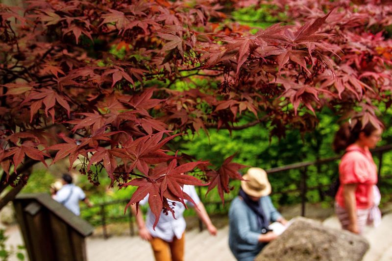Group of people in autumn leaves