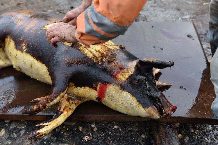 Cropped image of butcher cutting pork