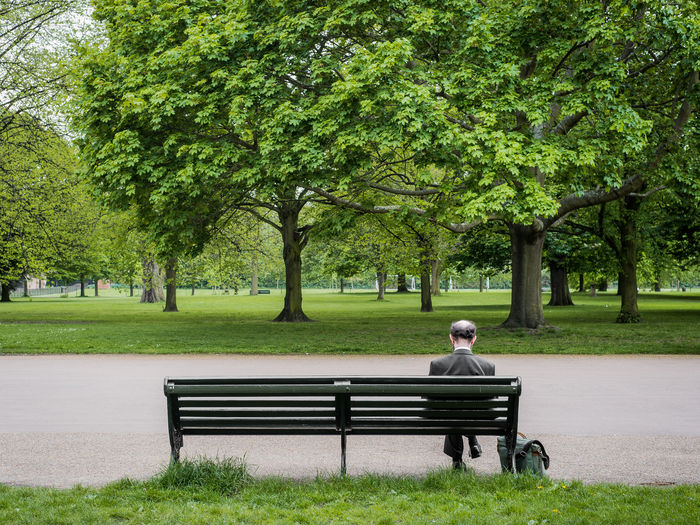 Rear view of man sitting on bench at park