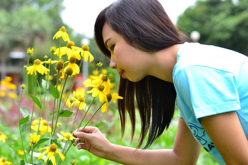 Midsection of woman holding yellow flowering plant