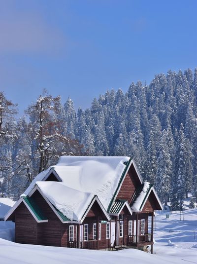 Snow covered houses by trees against sky