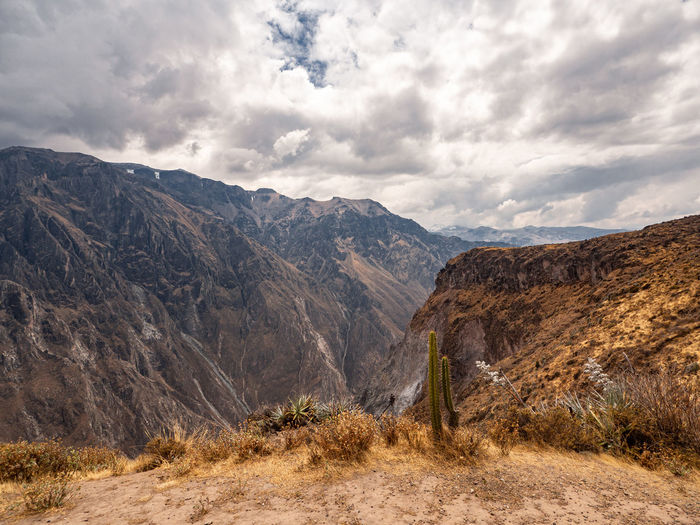 Cruz del condor, colca canyon, peru
