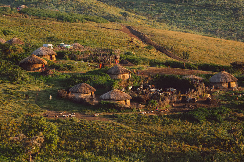 Scenic view of landscape