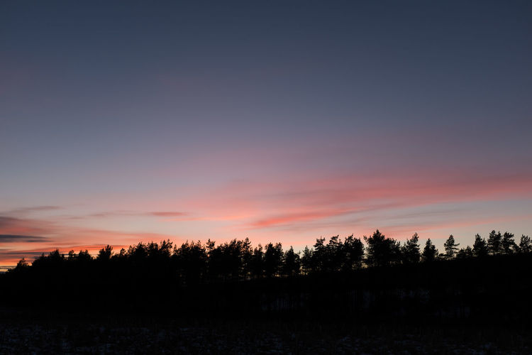 Silhouette trees against sky during sunset