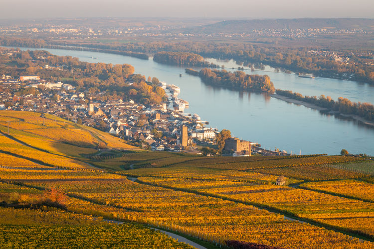 Scenic view to rheingau, city of bingen, and to rheinhessen with coloring vineyard in autumn
