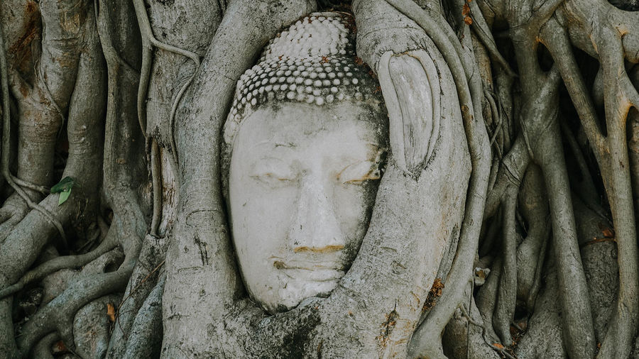 Wat mahathat,ayutthaya