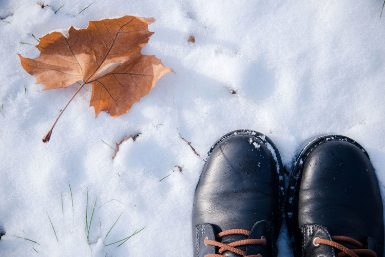 Shoes by leaf on snow covered field
