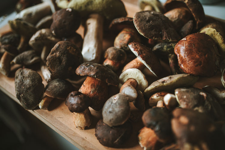 High angle view of mushrooms on table