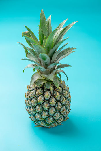 A pineapple photographed on a light blue background.