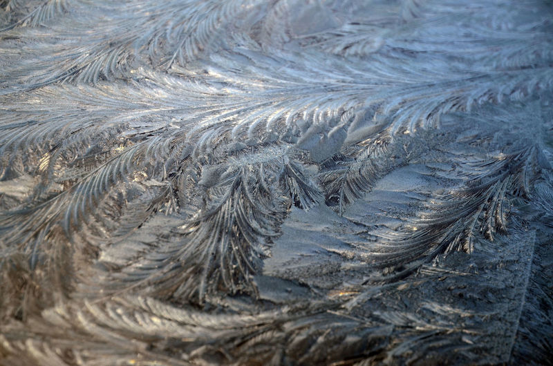 Frost pattern on a car windscreen