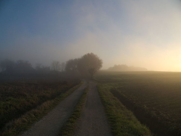 Pathway amidst field against sky during foggy weather