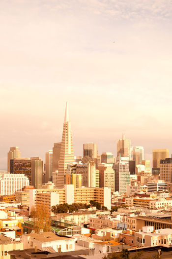 Financial district and north beach neighborhood in san francisco, california, united states